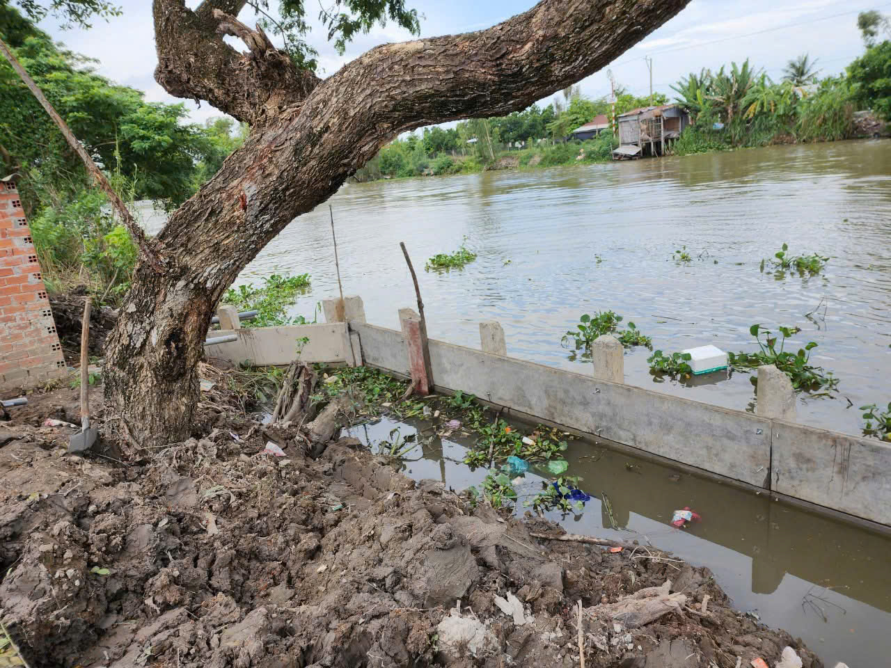 Bờ kè bê tông